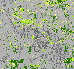 フィルタリング前 フィルタリング前