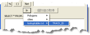 Tracking Analyst 拡張版の [検索条件設定] ダイアログ ボックスの [In] ボタンをクリックして、ルックアップ テーブルのリストおよびルックアップ テーブルにあるフィールドを展開します