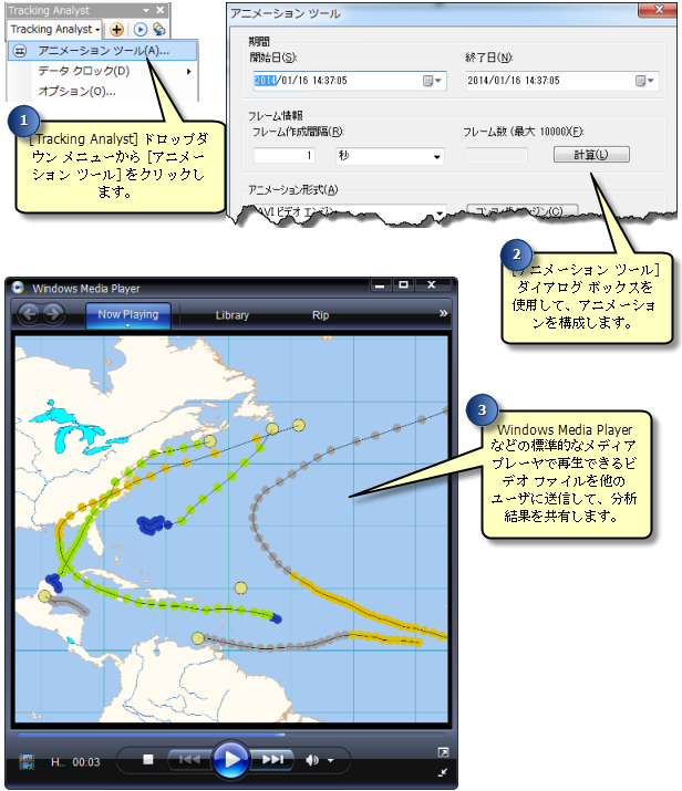 アニメーション ツールでは、ビデオ ファイルを作成することで、分析結果を他のユーザーと迅速に共有できます