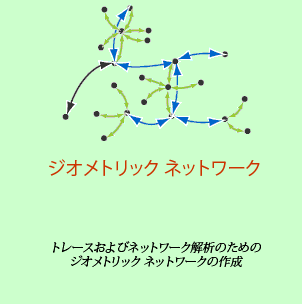 ジオメトリック ネットワークは、公共設備などのネットワークをモデリングするために使用される一連のエッジ、ジャンクション、フロー プロパティで構成される