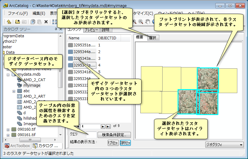 ArcCatalog でのモザイク データセットの確認