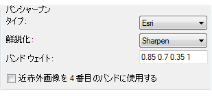 パンシャープン ラスター タイプのプロパティのオプション