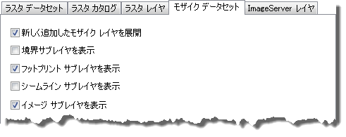 モザイク データセット レイヤーのオプション