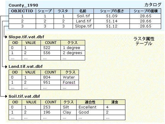 ラスター属性テーブルを持つ異種ラスター カタログ