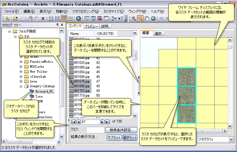 ArcCatalog でのラスター カタログの確認