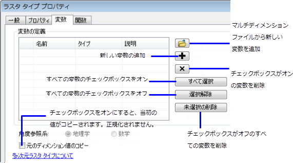 ラスター タイプ プロパティの [変数] タブ