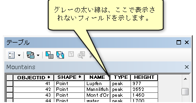 非表示フィールドがある属性テーブル