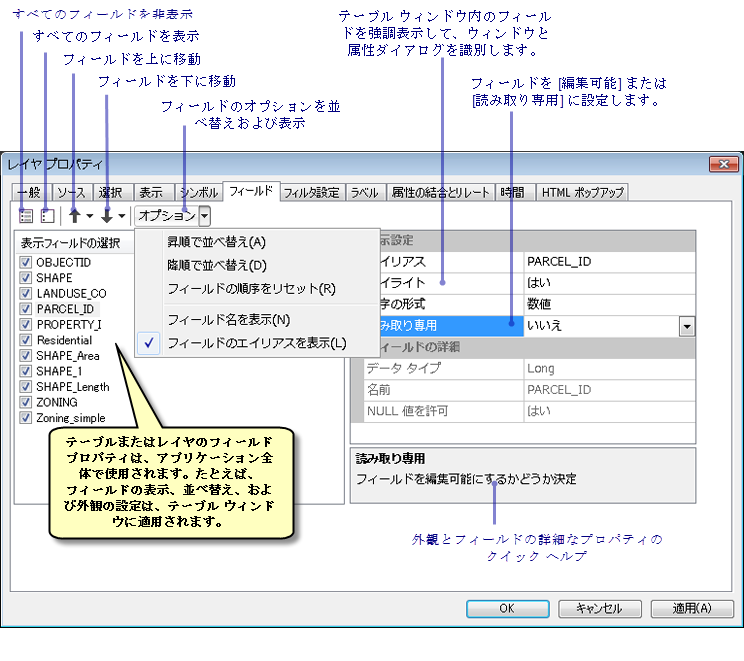 ArcGIS での [フィールド] タブの使用