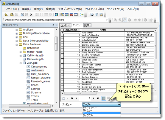 データセットのテーブル ビュー