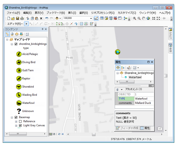 ArcMap 表示への野鳥観察の追加