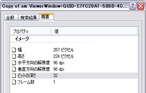 Windows エクスプローラーに表示された 5 x 5 インチのデータ フレームに収めるために使用する画像のプロパティ