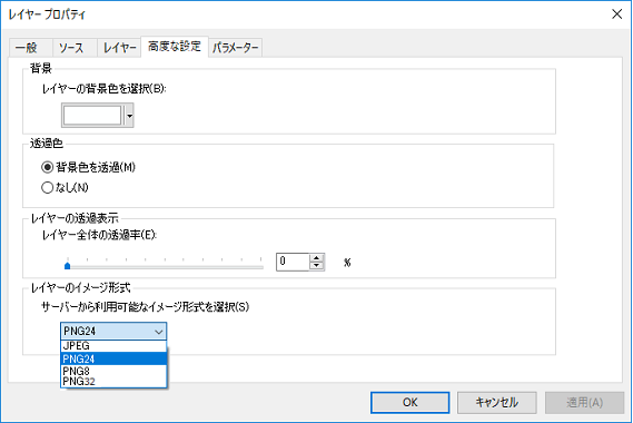 ArcGIS マップ サービス レイヤーの [レイヤー プロパティ] ダイアログ ボックスの [高度な設定] タブ