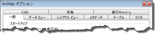 ArcMap オプション タブ