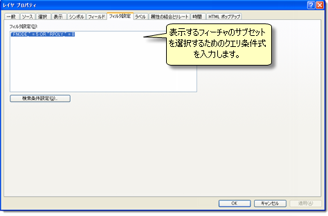 フィーチャのサブセットを表示するための条件式の入力