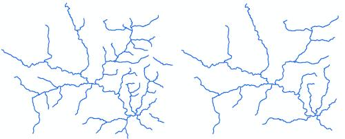 Before and after illustration of the prune hydro process