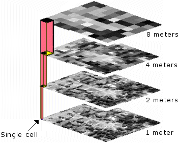 Cell size Cell size