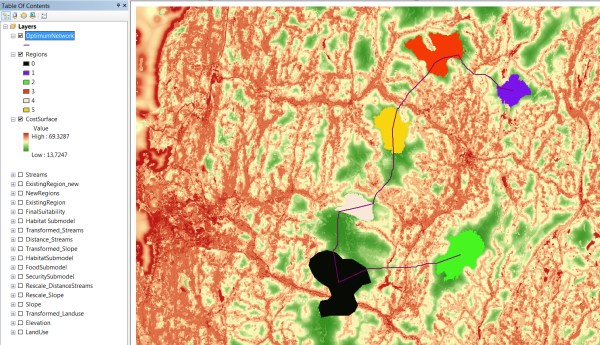 The OptimumNetwork and Regions layers displayed on top of the CostSurface layer