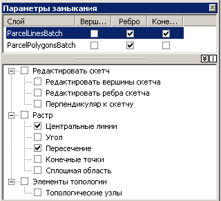 Нужные свойства замыкания растра, перечисленные в дереве растра, можно указать в окне Параметры замыкания (Snapping Environment).