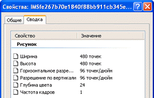 Свойства изображения, заполняющего фрейм данных, размером 5 х 5 дюймов, в окне Проводника (Windows Explorer)