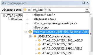 Слой сервиса WMS, который поддерживает идентификацию, так как его подслои были перечислены в списке Идентифицировать (Identify)