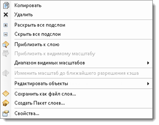 Контекстное меню слоя картографического сервиса