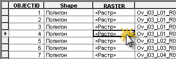 Столбец Растр (Raster)