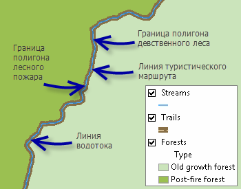 Полигоны и линии с общими ребрами