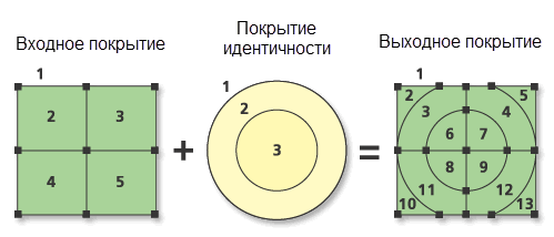 Иллюстрация полигонов идентичности