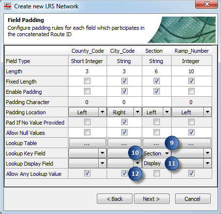 Configuring padding, null, and lookup table settings—ArcMap