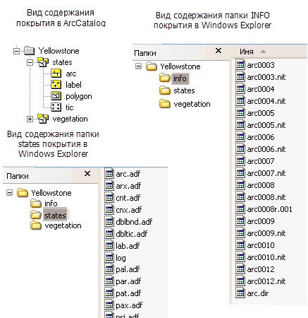 Представление содержимого покрытия в ArcCatalog и проводнике Windows