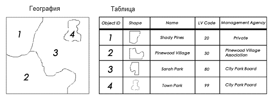 Классы объектов хранятся в таблицах со столбцом shape