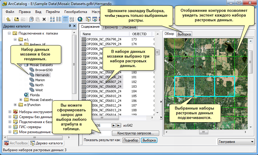 Изучение набора данных мозаики в ArcCatalog
