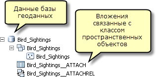 Класс пространственных объектов Bird_Sightings