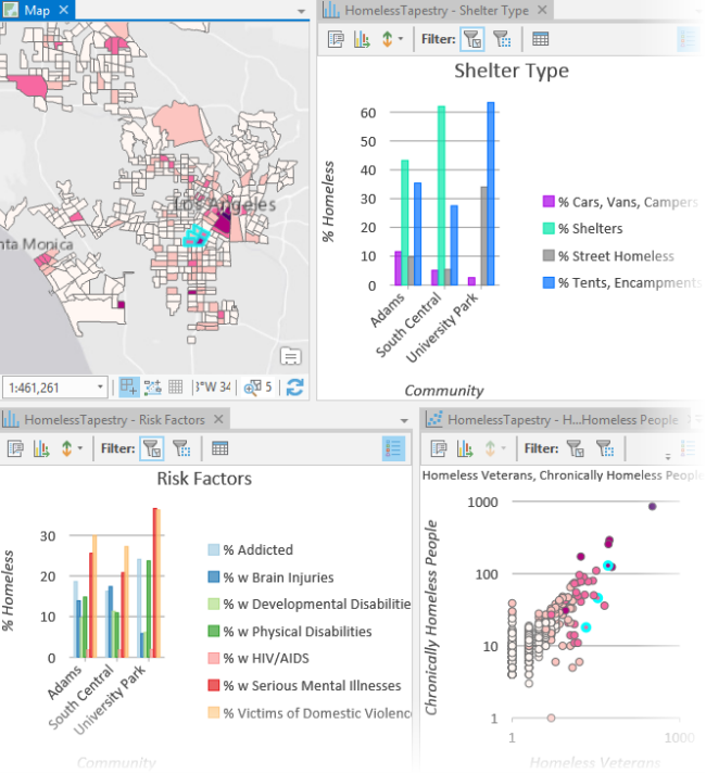 Exploring homeless risk factors and shelter types.