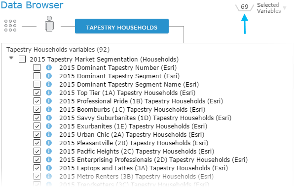 Enrich Layer tool data browser