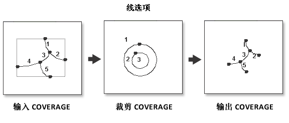 线裁剪插图