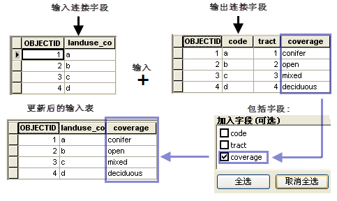 The join field tool