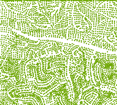 被转换为点要素的 TIN