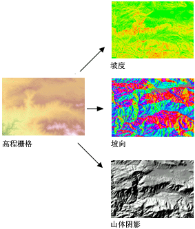 基于高程栅格数据得出的输出示例