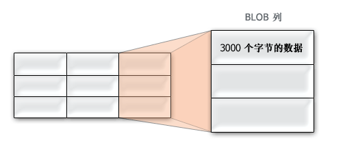 大小小于 3965 个字节的 BLOB 数据存储在行内