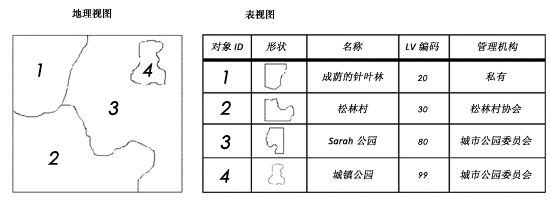 要素类以具有 shape 列的表的形式存储