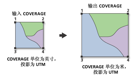 变换插图