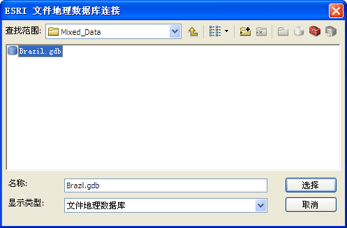 选择所需的 ESRI 文件地理数据库