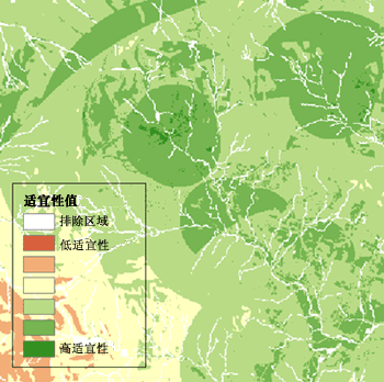 输出适宜性地图