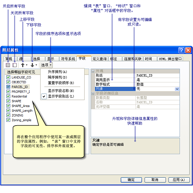 使用 ArcGIS 中的“字段”选项卡