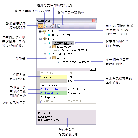 属性窗口中显示以显示表达式进行显示的要素以及相关表格信息