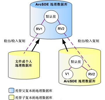 检出/检入复制的复本版本