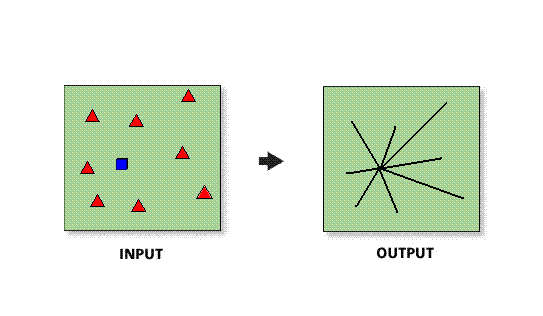 Desire Lines wide