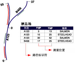 在一组线状要素沿线某距离处创建的线事件