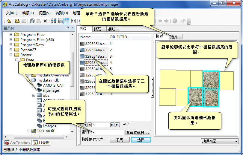 在 ArcCatalog 中浏览镶嵌数据集